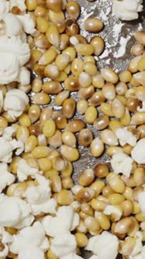 Vertical video. Corn kernels pop and fly upward in the frame. They spin and land on the skillet.