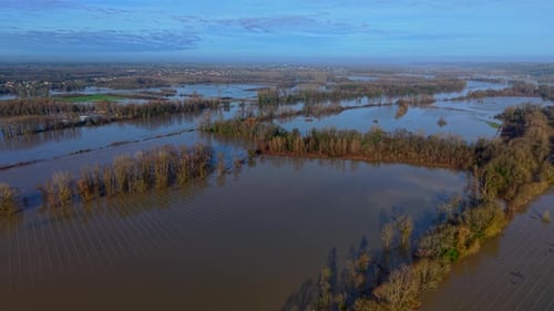 Aerial view of flooded vineyards reflecting the sky, with trees emerging from the water