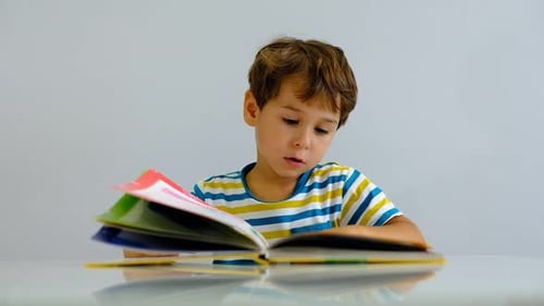 Young Boy Reads Large Picture Book