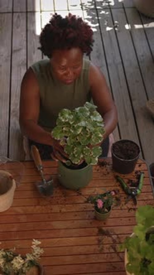 Passionate Gardening Enthusiast Engaging in the Joyful Activity of Working with Potted Plants