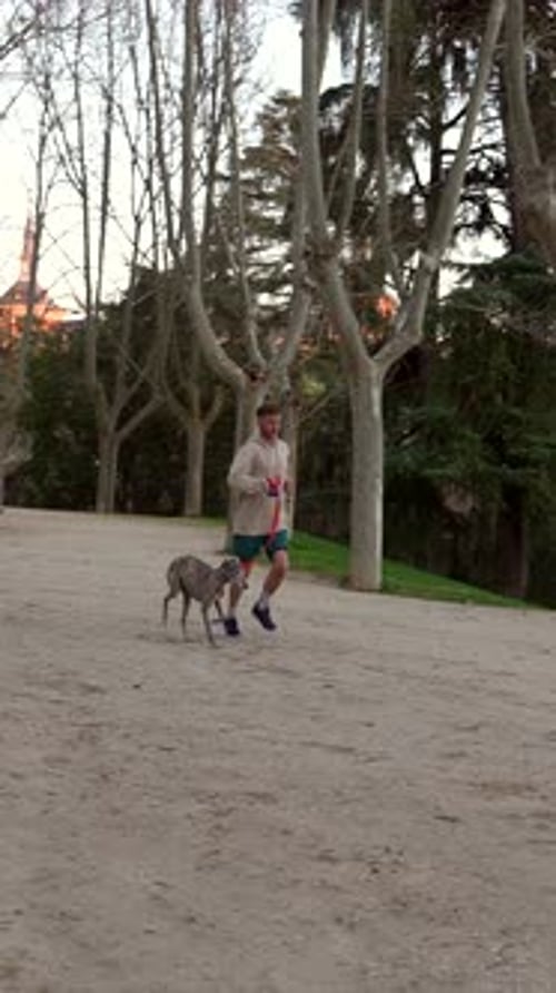 Junger Mann läuft mit Windhundhund im Park bei Sonnenuntergang