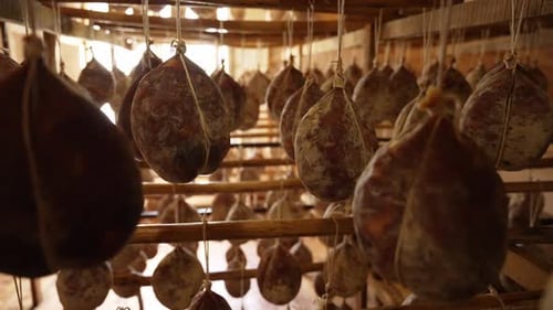 Array of Salami Hanging in Room