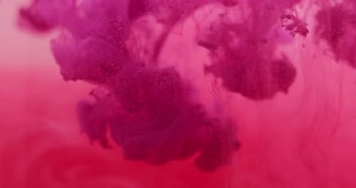 Pink Ink Plumes Swirling Abstractly in Water