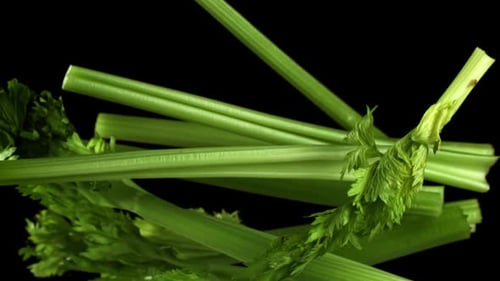 Fresh Celery Soars Up on a Black Background Filmed on a Highspeed Camera at 1000 Fps