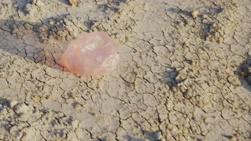 Una bolsa de plástico vuela en tierra seca: desastre ambiental
