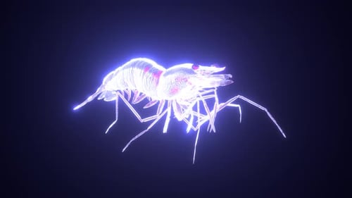 3D Infinite Loop mit holografischen Neongarnelen