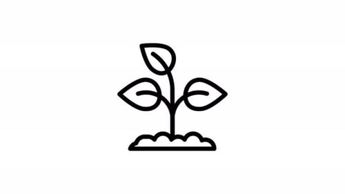 tree bud line icon animation