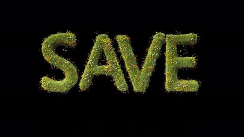 Green Grass SAVE Title On Alpha