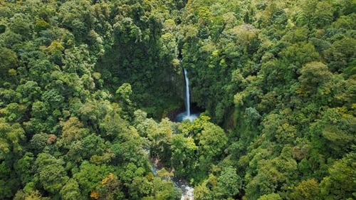 La Fortuna waterfall hidden in lush green rainforest in tropical nature of Costa Rica