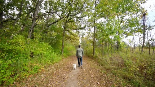 Man Walking Joyfully and Looking Around in a Forest with His Small Dog Running Close to Him in