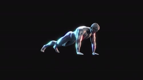 Ejercicios de anatomía masculina: flexiones