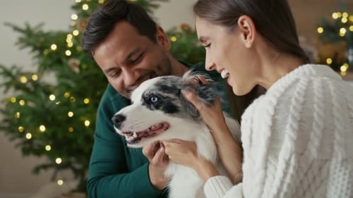 Couple Petting Dog in Front of Christmas Tree