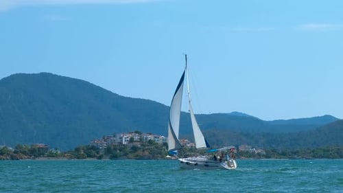 Amazing Ship Racing on Open Ocean