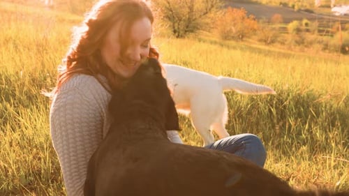 Woman with Dogs in a Sunny Rural Field