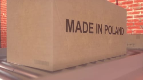 Cardboard Box With Made in Poland Text on Industrial Conveyor Line