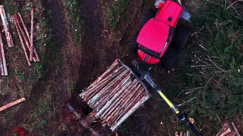 Leistungsstarke Forstwirtschaft mit einem Kran, der gefällte Baumstämme auf einen Anhänger im Wald lädt