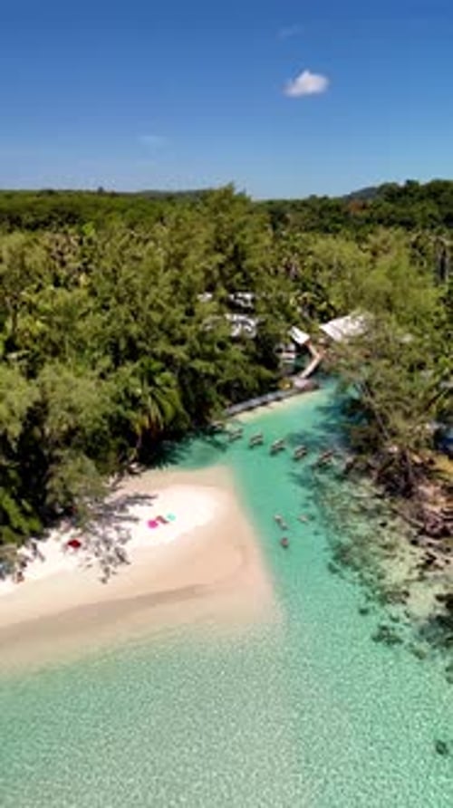 Stunning Tropical Beach Aerial View on a Sunny Day