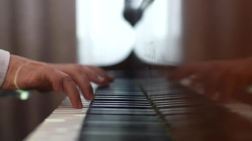 Closeup Back View of Unrecognizable Female Violinist Playing Violin at Classical Music Concert