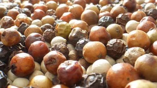 Mixed Peppercorns Close Up in Bright Light