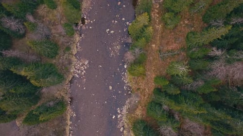 Aerial View Of River With Conifer Trees In Norway.