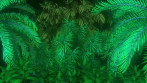 Background Of Tropical Jungle Plants