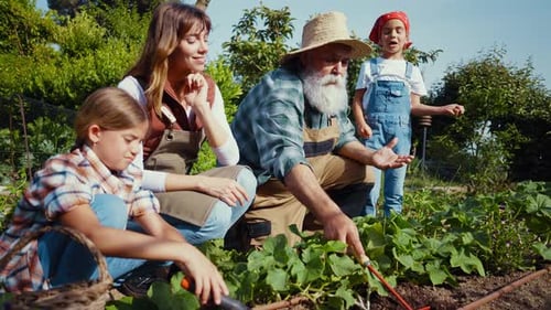 Family having fun in the vegetable garden