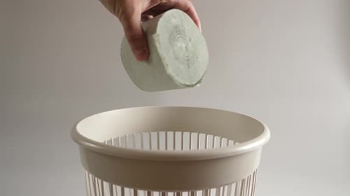 1. Eine Rolle Toilettenpapier wird zum Recycling in den Müll geworfen