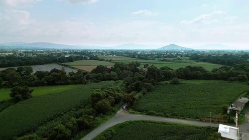 Luftaufnahme der ländlichen Gegend, grüne Landschaft mit Getreidefeldern und mit einer Straßenkreuzung.
