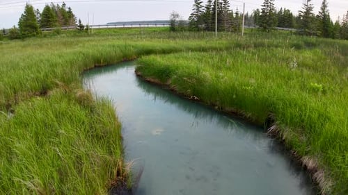Aerial drone footage of a winding stream cutting through tall green grass in a lush marshland.