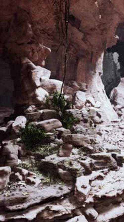 A Beautiful Cave Filled with Rocks and Lush Vegetation