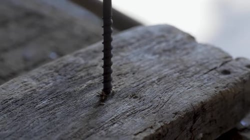 Electric Screwdriver Used to Drive Selftapping Screws Into Wooden Board