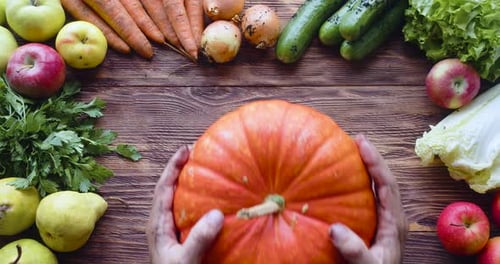 Gardener's Hands Put a Large Pumpkin on the Table with Vegetables and Herbs