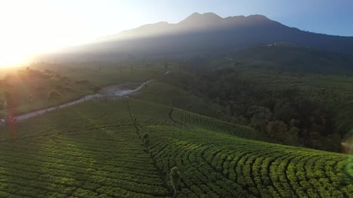 Aerial Sunrise over Mountain