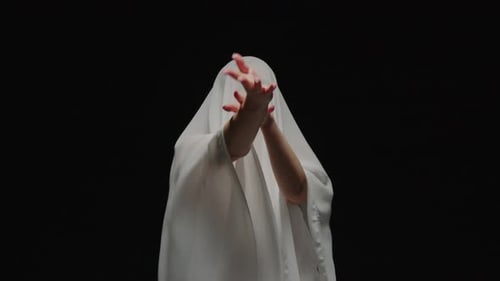 A Dance of Shadows and Light Intertwining Beauty Grace and Artistry