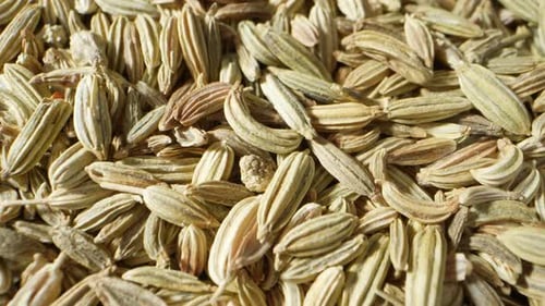 Fennel seeds are small, aromatic seeds from the fennel plant.