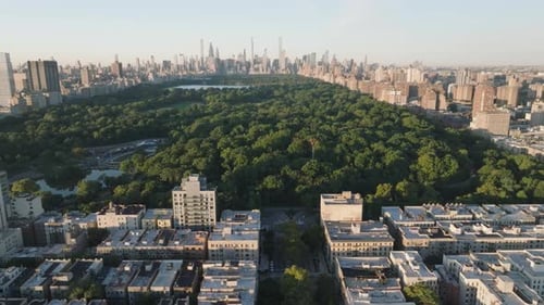 Aerial view of Central Park at sunrise