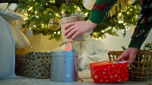 Decorated Christmas Tree with Presents and Ornaments