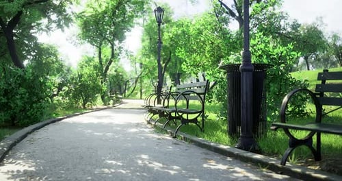 Relaxing Path in a Lush Park with Benches and Trees Under Sunlight
