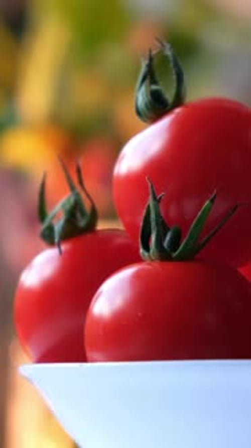 Close Up of Ripe Cherry Tomatoes in Bowl