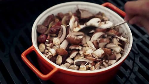 Vertical View Of Mushrooms
