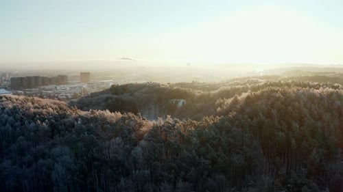 Aerial View Winter Forest Sunrise Nature Snow Covered Winter Trees