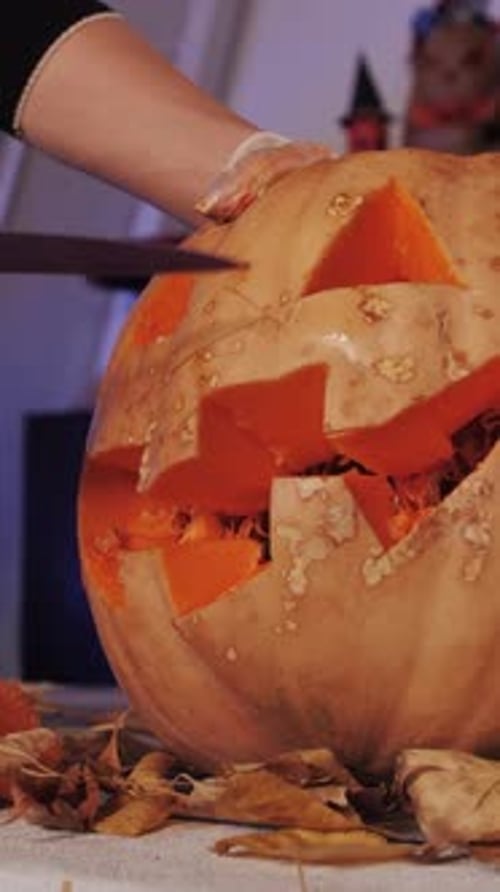 Preparing for Halloween Pumpkin Carving CloseUp Vertical Video
