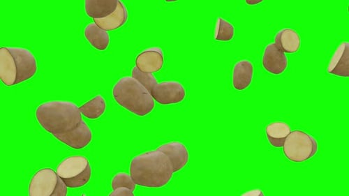 Potatoes Falling On Green Screen With Alpha Matte