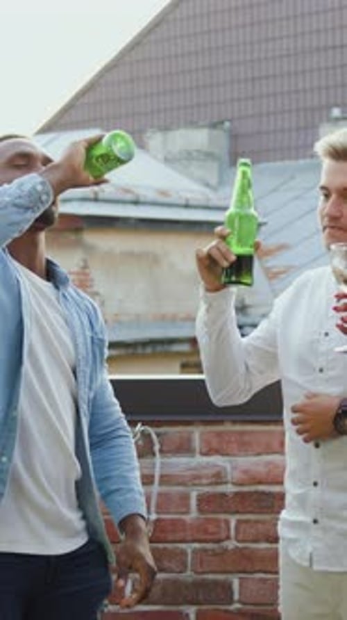 Friends on rooftop drinking beer and toasting glasses