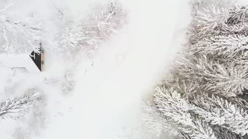 Hut covered with white snow between pine trees in Kransjka Gora Slovenia. Drone truck shot