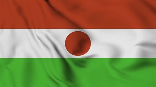 Realistic Waving Flag of Niger