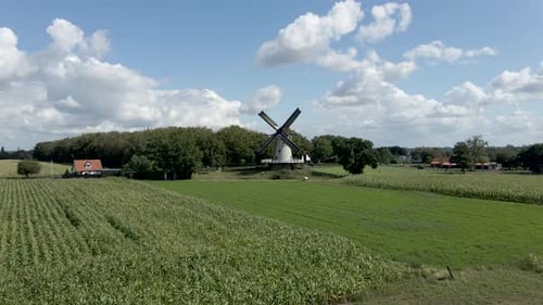Picturesque Windmill in a Verdant Rural Landscape