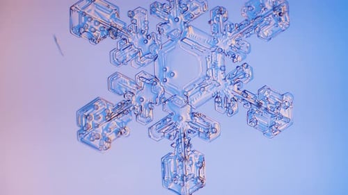 Snowflake close up under microscope panning view blue background fine details
