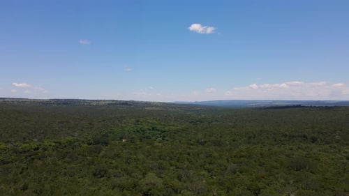 Endless Valley with Lush Tropical Forest Aerial View