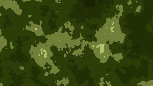 Camouflage texture or military pattern. Army animation imitating forest, khaki, green. background